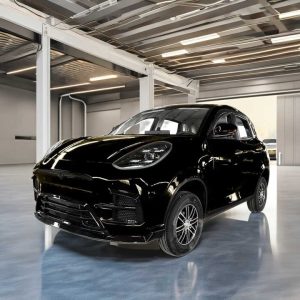 Hot_Sale_Made_in_China_4-Seater_Car