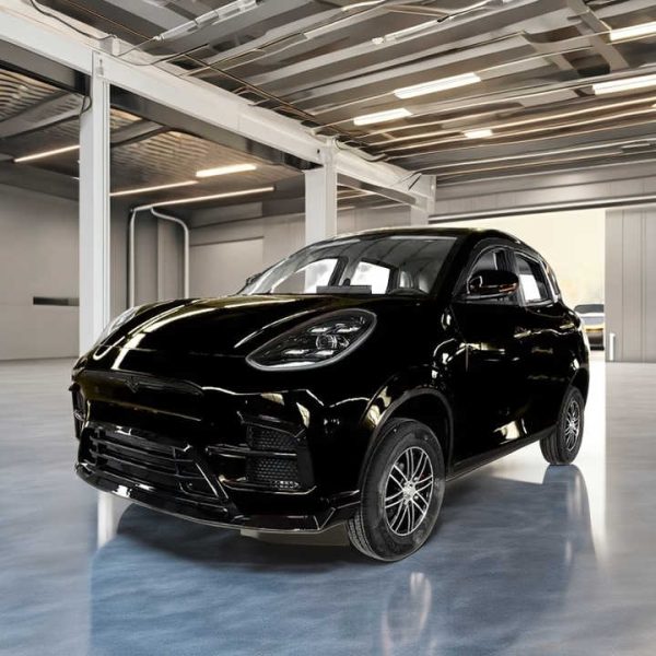 Hot_Sale_Made_in_China_4-Seater_Car