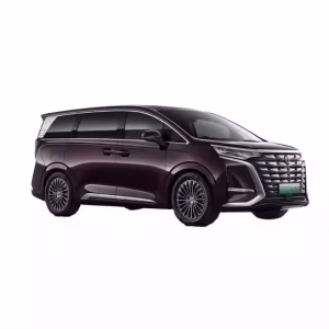 2024_Denza_D9_620KM_EV_Premium_Edition_MPV