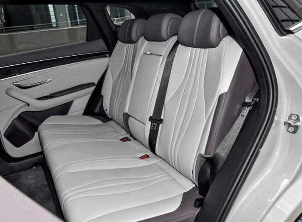 2024 BYD Song Plus DM-i Dipilot Edition - Image 6
