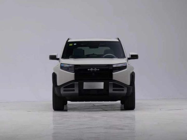 BYD Leopard 3 4WD SUV 501KM Range - 图片 5