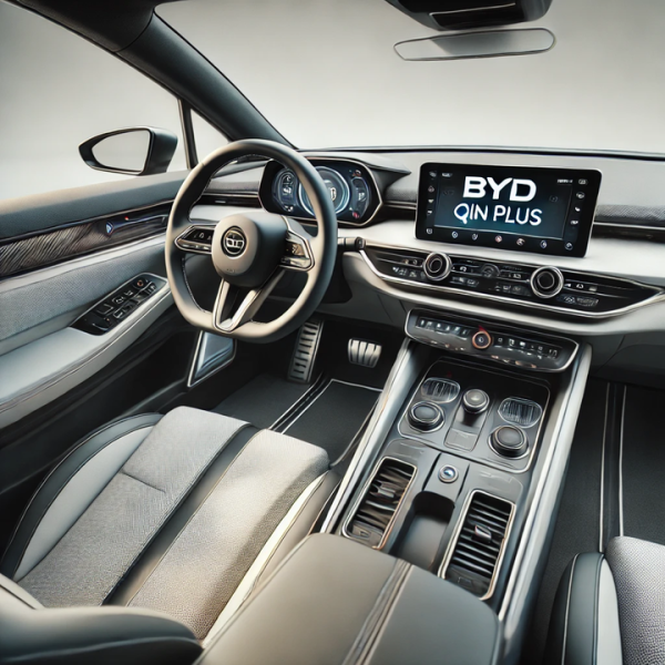 2024 BYD Qin PLUS EV 600KM Family Car — изображение 6