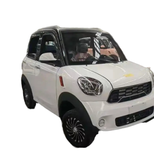 Made_in_China_4-Door_4-Seat_Mini_Car