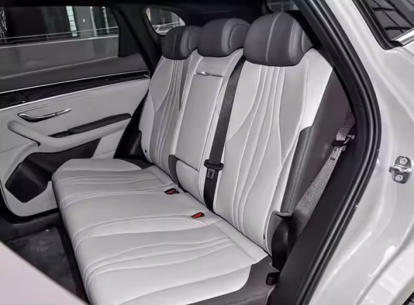 BYD Song Plus DM-i DiPilot Edition SUV 5-Seater — изображение 6