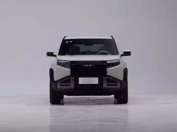 Leopard 3 Titanium 5-Seat 4WD Electric EV — изображение 2