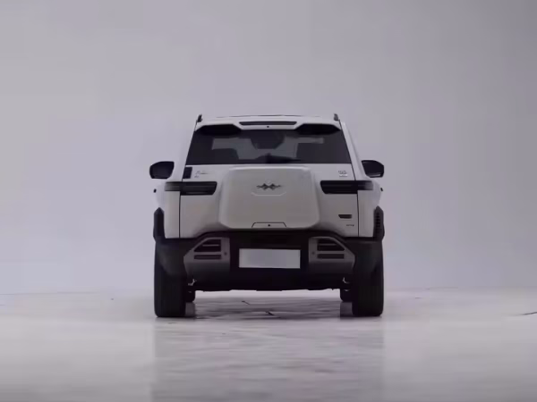 Leopard 3 Titanium 5-Seat 4WD Electric EV — изображение 4