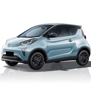 2024 Chery Little Ant Electric Car EQ1